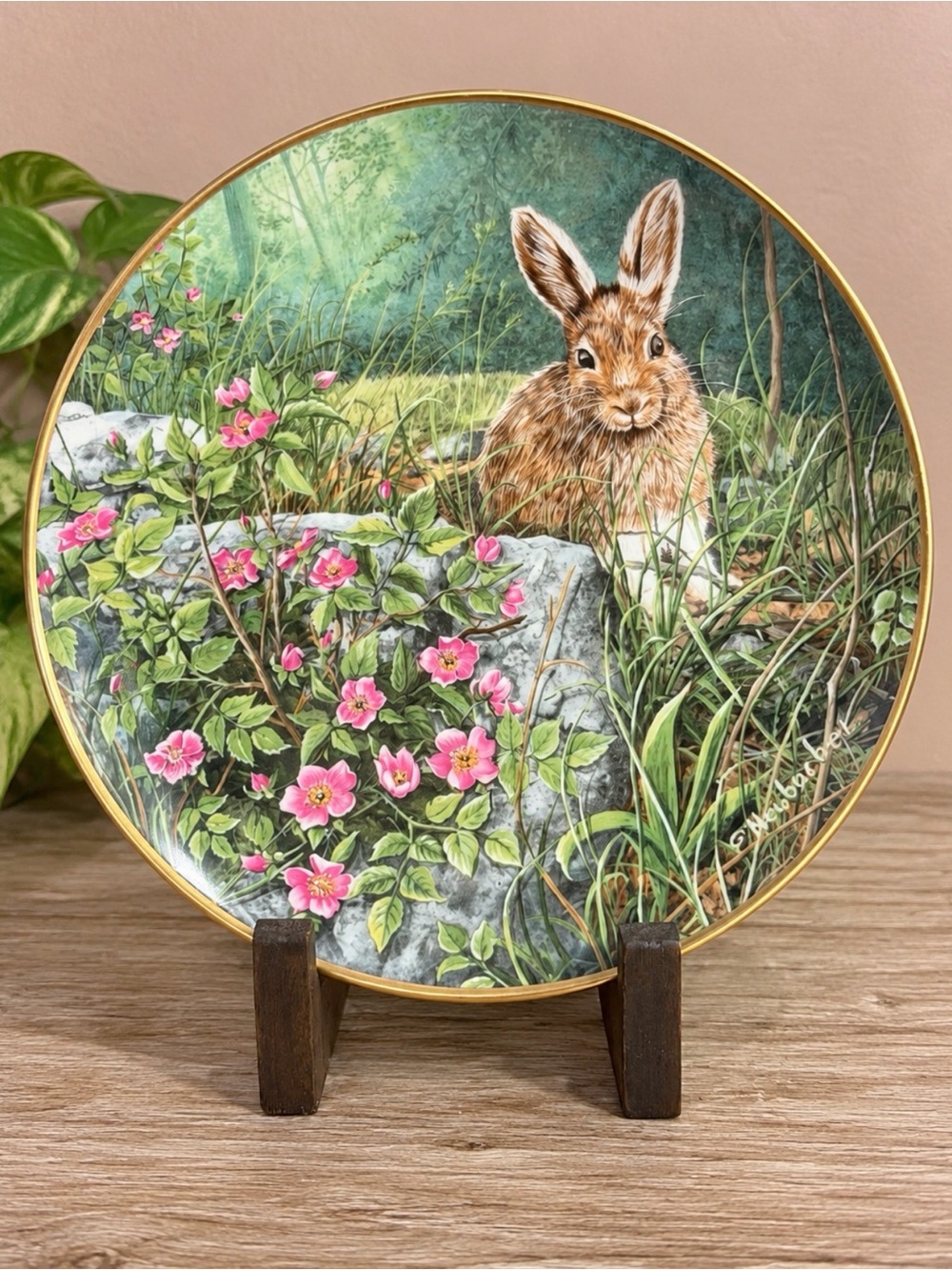 “Wild Roses” Collector Plate Decor | Bunny Rabbit | So Cute!